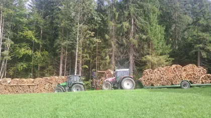 Brennholz