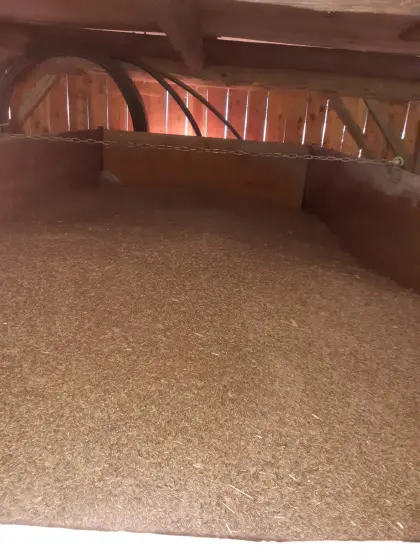 Futterroggen Bio