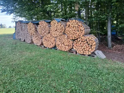 Brennholz Hart- und Weichholz