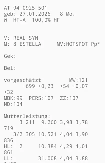 HF-Jungkalbin zu verkaufen