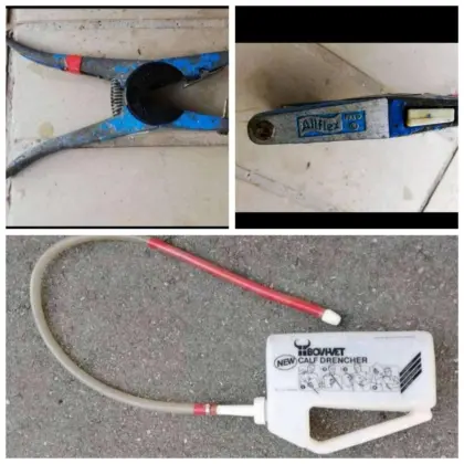 Drencher BOVI-Vet und Ohrmarkenzange Allflex