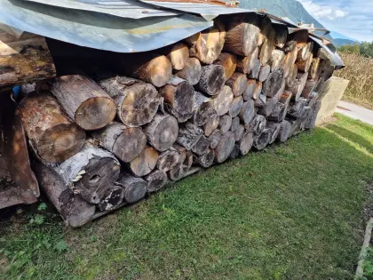 Holz