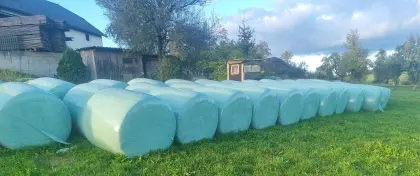 Maisballen
