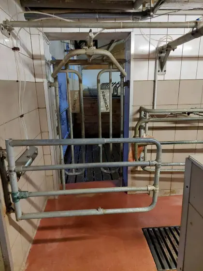 Eingangstor pneumatisch Melkstand