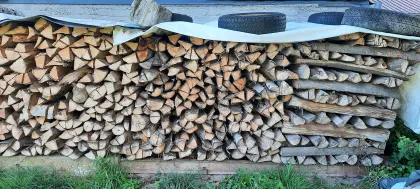 Buchenholz