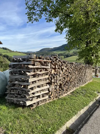Verkaufe Brennholz Eiche/Föhre