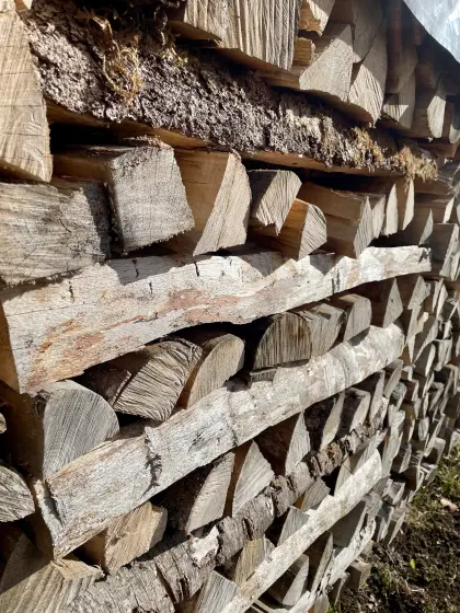 Brennholz Buche, regional und trocken