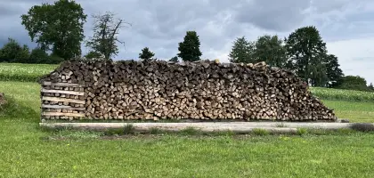 Brennholz Buche