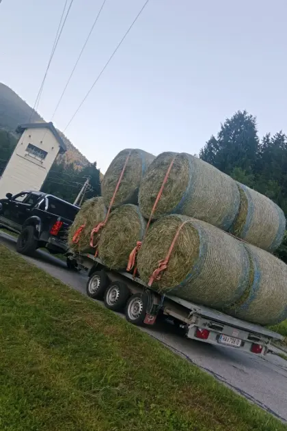 Transporte