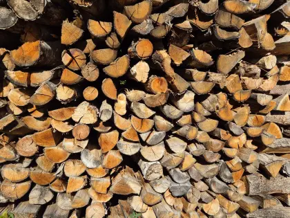 Brennholz (Mischholz)