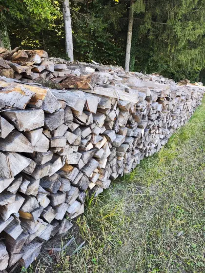 Brennholz, Buche