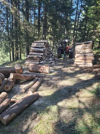 Brennholz