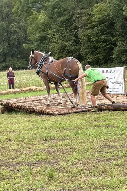Holzrückepferd