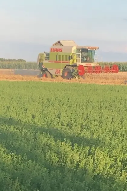 Claas MEGA 204