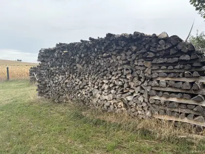 Brennholz