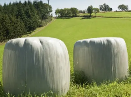 Silageballen
