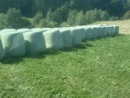 Maisballen, Silageballen.