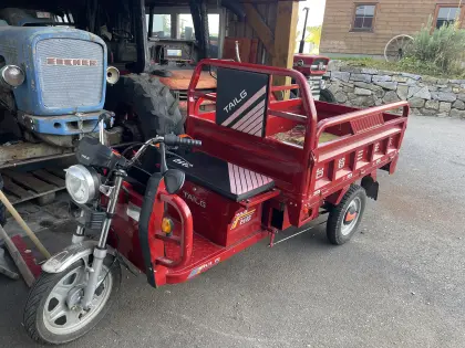 Tuk-Tuk, E-Lastendreirad