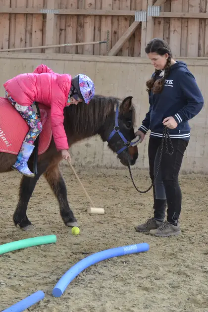 Mathematik mit Pony