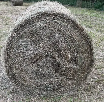 Heuballen, Rundballen