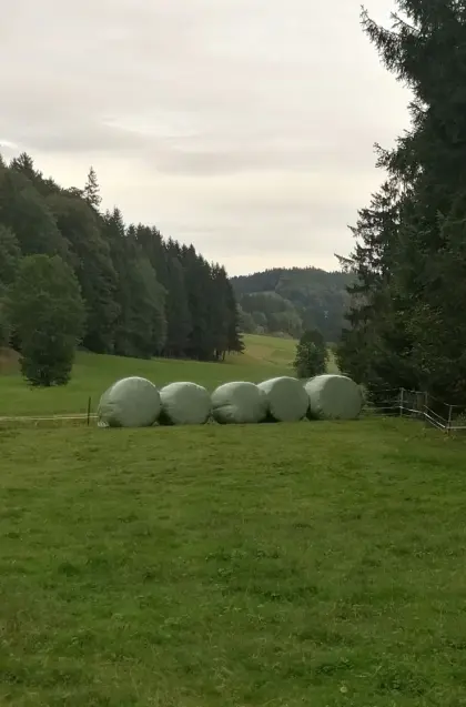 Bio-Siloballen 2026