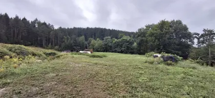 Mäharbeiten aller Art, Roboter, Freischneider