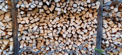 Brennholz