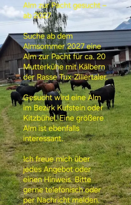 Alm zum Pachten gesucht