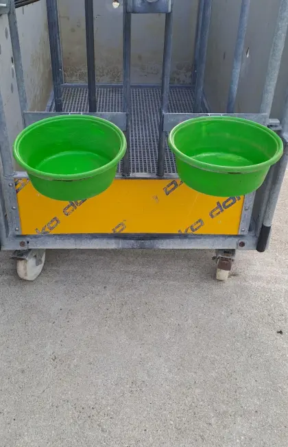 Kälber Einzelbox