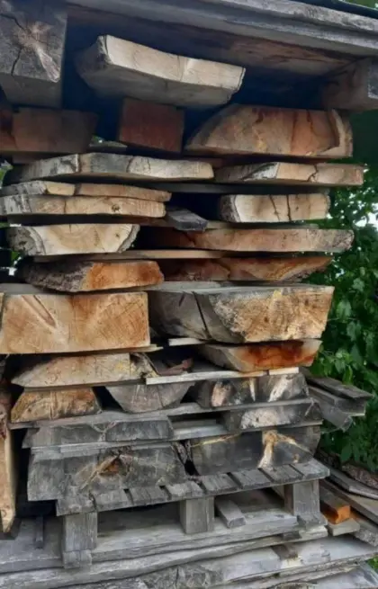 Zirbenholz, Birke, Esche, Ahorn