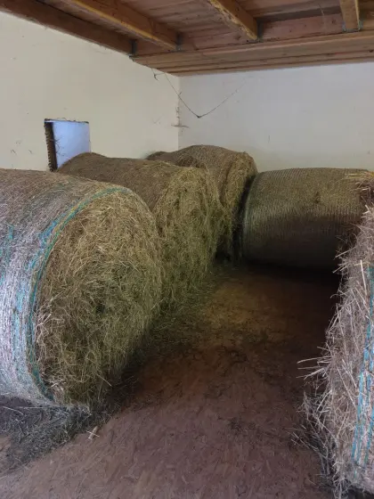 Heuballen, verkauft wird nach kg