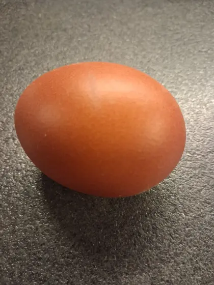 Marans Stamm