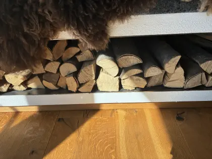 Kaminholz Premium Buche oder Hartholz-Mix (Buche/Esche/Ahorn)