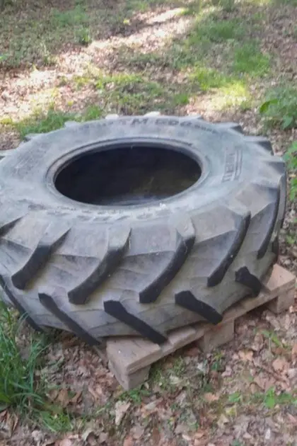Pirelli TM 600, 420/85/R24