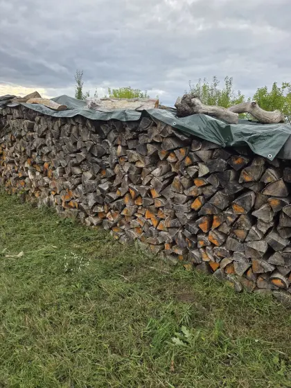 brennholz trocken weichholz