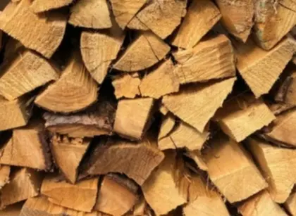 Brennholz