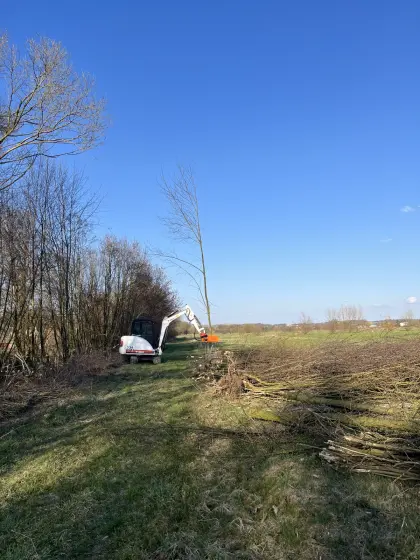 Bagger mit Fällgreifer
