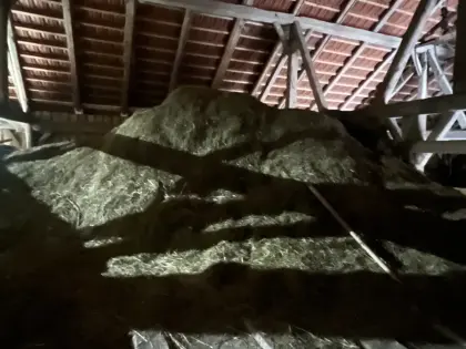 Altes Heu abzugeben (kostenlos)