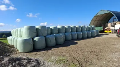 Maisballen
