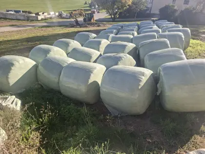 Siloballen zu verkaufen, 30 Stk.