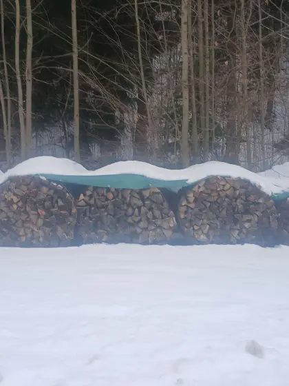 Brennholz