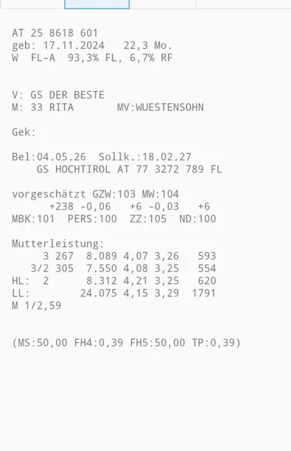 Verkaufe zwei trächtige BIO Kalbinnen