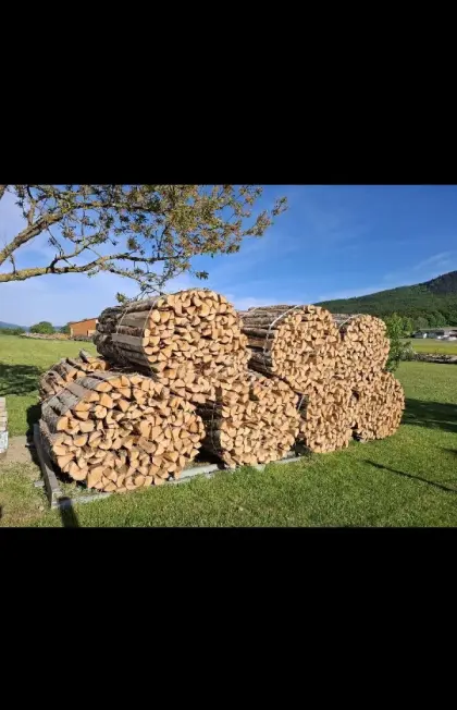 Birkenbrennholz