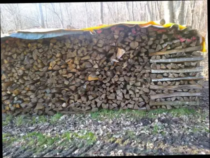 Brennholz