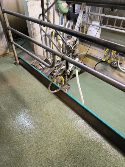 GEA Autotandem Melkstand