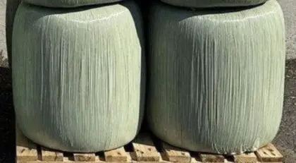 Maissilageballen