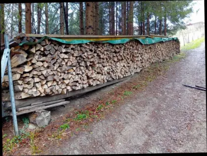Buchenbrennholz