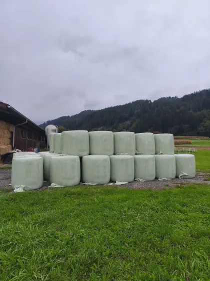 Maisballen