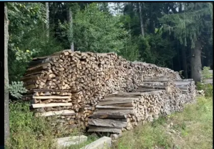 Brennholz, Ofenholz
