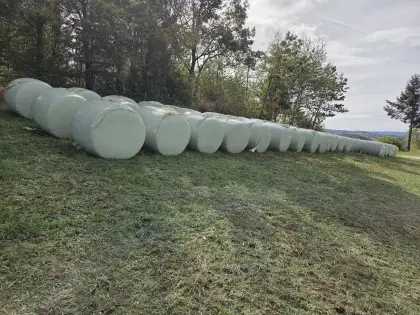 Silageballen
